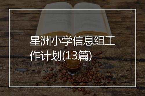 星洲小学信息组工作计划(13篇)