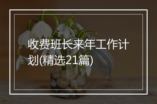 收费班长来年工作计划(精选21篇)
