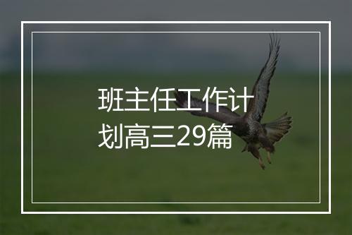 班主任工作计划高三29篇