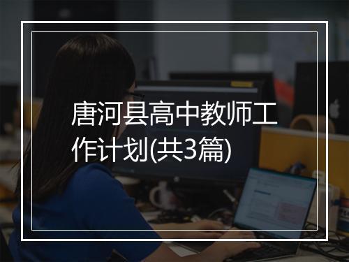 唐河县高中教师工作计划(共3篇)