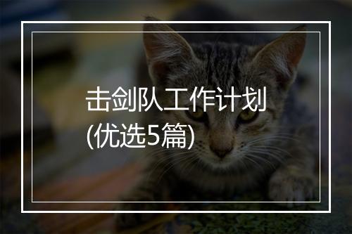 击剑队工作计划(优选5篇)