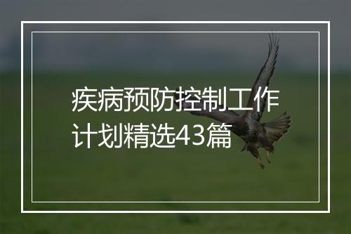 疾病预防控制工作计划精选43篇