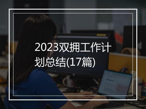 2023双拥工作计划总结(17篇)