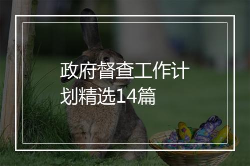 政府督查工作计划精选14篇