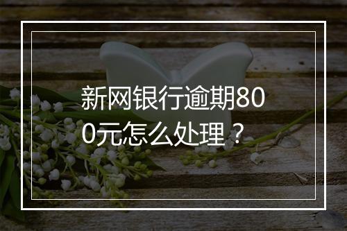 新网银行逾期800元怎么处理？