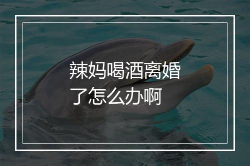 辣妈喝酒离婚了怎么办啊