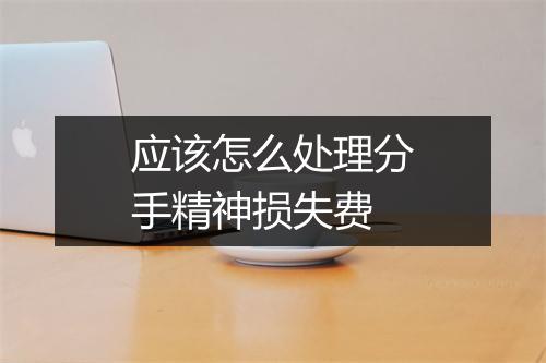 应该怎么处理分手精神损失费