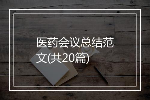 医药会议总结范文(共20篇)