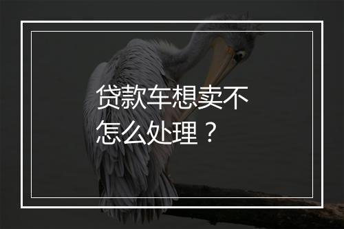 贷款车想卖不怎么处理？