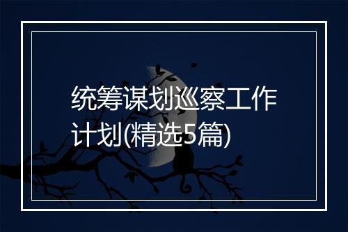 统筹谋划巡察工作计划(精选5篇)
