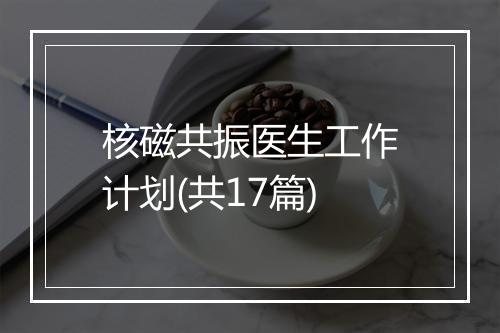 核磁共振医生工作计划(共17篇)