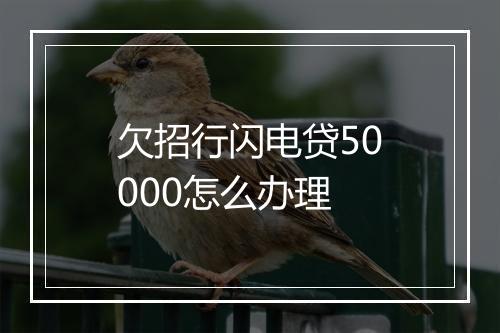 欠招行闪电贷50000怎么办理