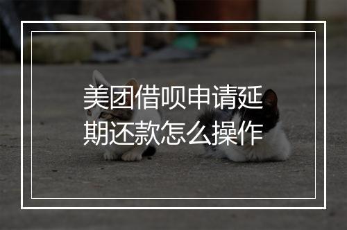 美团借呗申请延期还款怎么操作