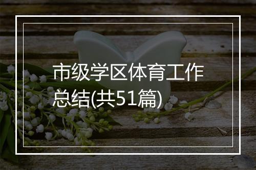 市级学区体育工作总结(共51篇)