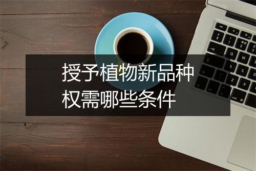 授予植物新品种权需哪些条件
