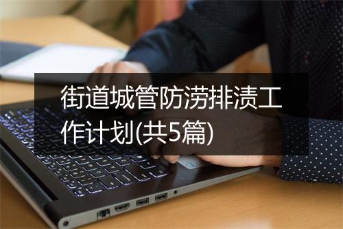 街道城管防涝排渍工作计划(共5篇)