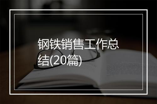 钢铁销售工作总结(20篇)