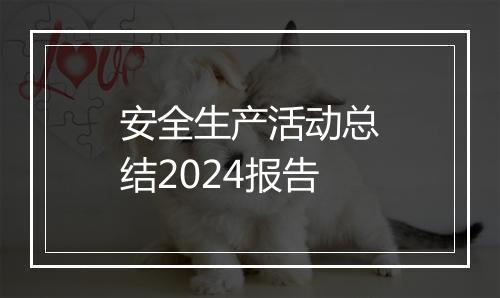 安全生产活动总结2024报告