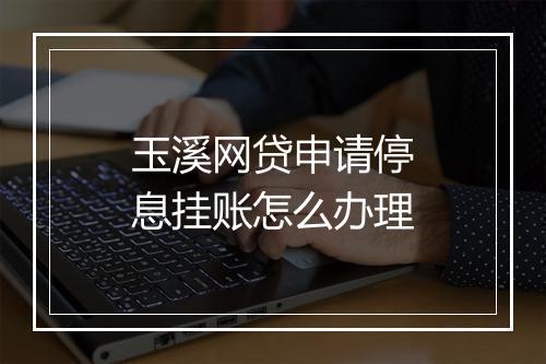 玉溪网贷申请停息挂账怎么办理