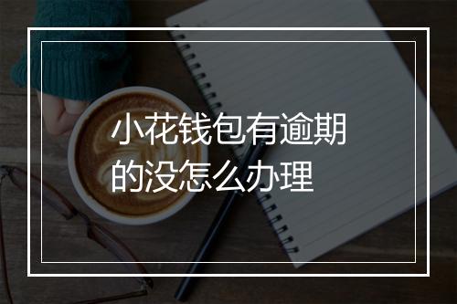 小花钱包有逾期的没怎么办理