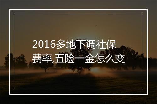2016多地下调社保费率,五险一金怎么变