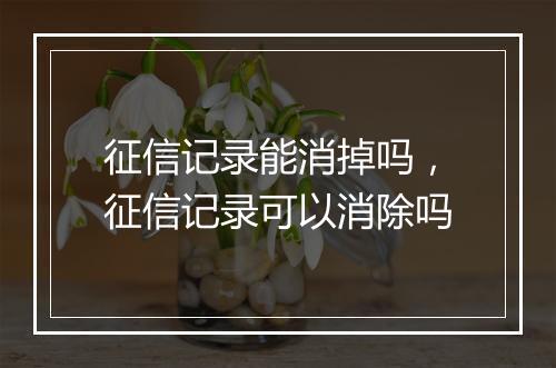 征信记录能消掉吗，征信记录可以消除吗