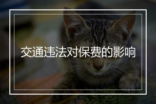 交通违法对保费的影响