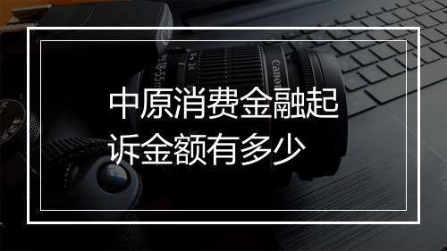 中原消费金融起诉金额有多少