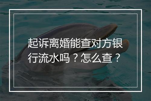 起诉离婚能查对方银行流水吗？怎么查？