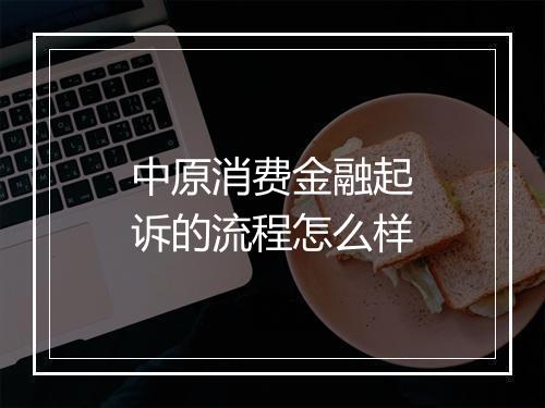 中原消费金融起诉的流程怎么样