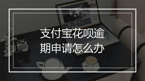 支付宝花呗逾期申请怎么办