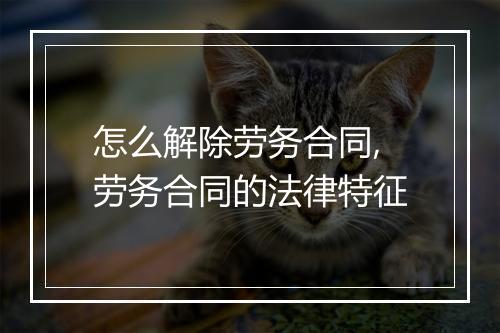怎么解除劳务合同,劳务合同的法律特征