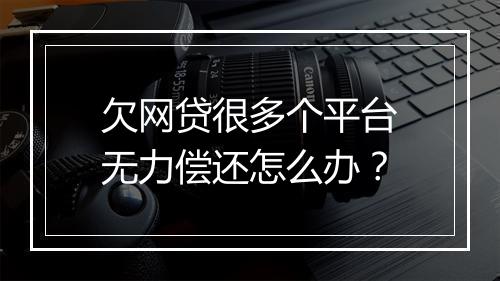 欠网贷很多个平台无力偿还怎么办？