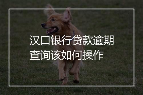 汉口银行贷款逾期查询该如何操作