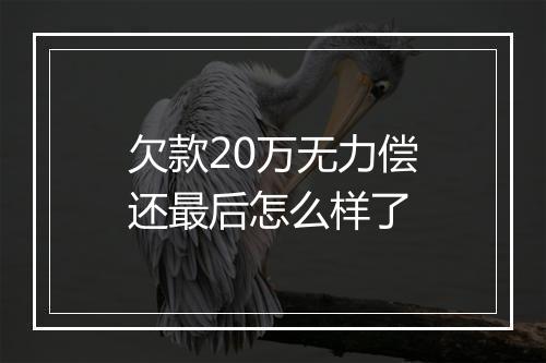 欠款20万无力偿还最后怎么样了