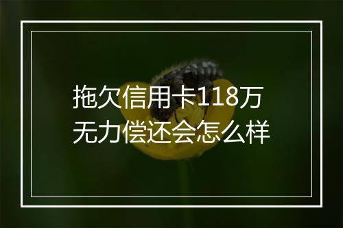 拖欠信用卡118万无力偿还会怎么样