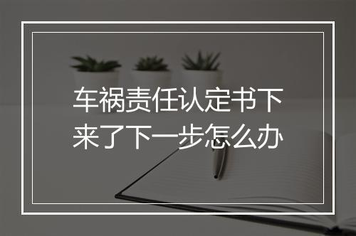 车祸责任认定书下来了下一步怎么办