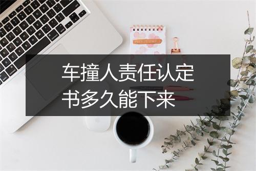 车撞人责任认定书多久能下来