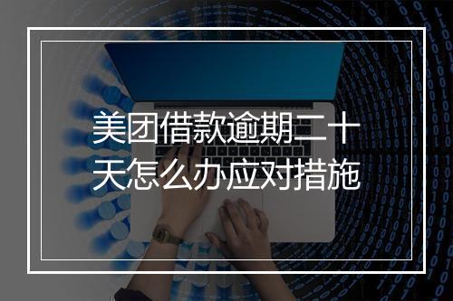美团借款逾期二十天怎么办应对措施