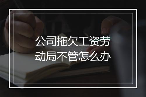 公司拖欠工资劳动局不管怎么办
