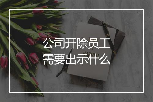 公司开除员工需要出示什么