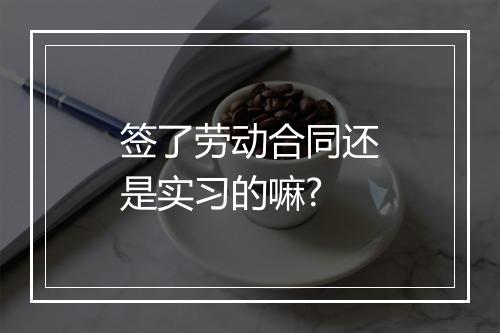 签了劳动合同还是实习的嘛?