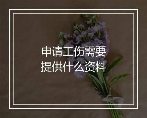 申请工伤需要提供什么资料