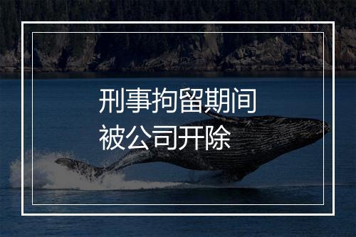 刑事拘留期间被公司开除