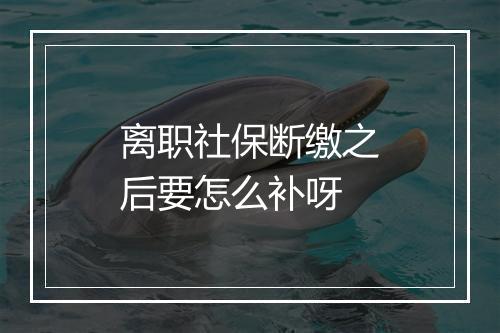 离职社保断缴之后要怎么补呀