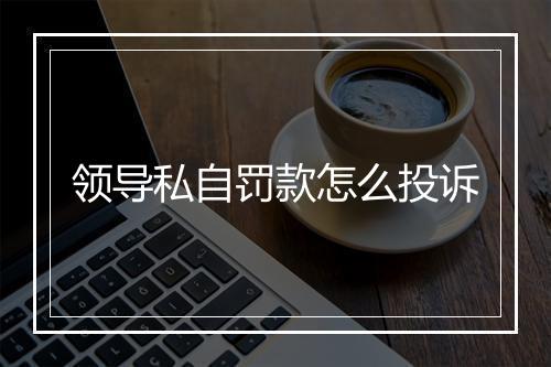 领导私自罚款怎么投诉