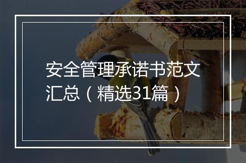 安全管理承诺书范文汇总（精选31篇）