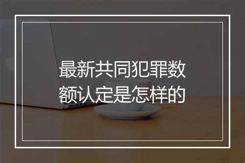 最新共同犯罪数额认定是怎样的