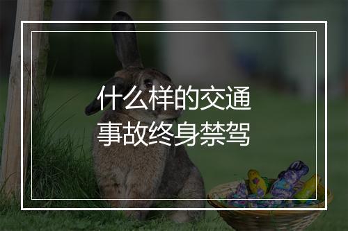 什么样的交通事故终身禁驾