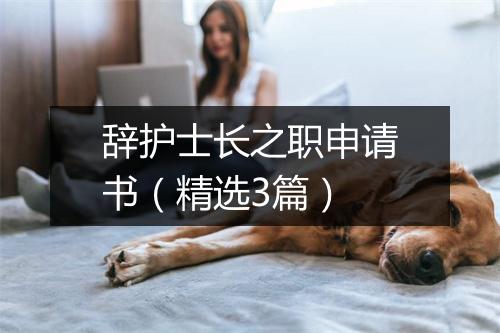辞护士长之职申请书（精选3篇）